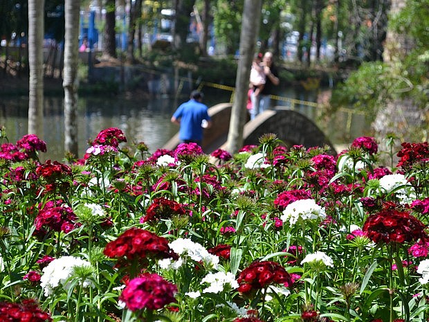 Foto: Reprodução/Globo